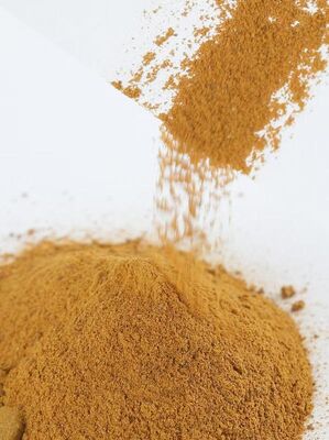 โพลีไดไฮดรอกซีอินโดล — เมลามีน