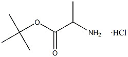 Tert-Butyl L-Alaninate Hydrochloride CAS. 13404-22-3 ขาวถึงขาวไม่ขาว ความบริสุทธิ์ 98% จุดละลาย 168-175 °C